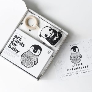 LITTLE NATURALIST GIFT SET - BLACK + WHITE
